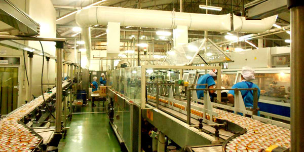 Sản xuất thực phẩm và đồ uống