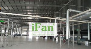 Hệ thống xử lý bụi và khí thải công ty giày APACHE